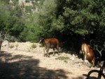 DSCN9077.jpg