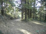 Camino a Matagalls Xic2.JPG