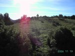 Coll.JPG