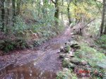 DSC00340.jpg