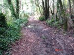 DSC00341.jpg