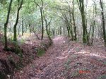DSC00333.jpg