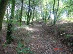 DSC00334.jpg