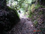 DSC00327.jpg