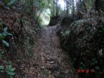 DSC00328.jpg