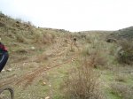 DSC00707.jpg