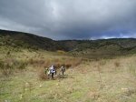 DSC00703.jpg
