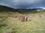 DSC00702.jpg