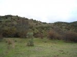 DSC00693.jpg
