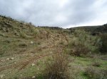 DSC00704.jpg