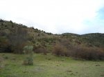 DSC00692.jpg