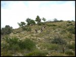 PICT0094.jpg