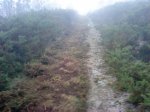 DSC09596.jpg