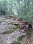 131020101388.jpg