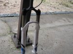 IMG_0388.jpg