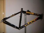 2010_11022010giantcuadro0018.jpg