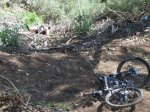 tenerife2010 232.jpg