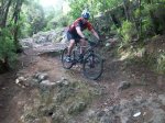 tenerife2010 222.jpg