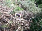 tenerife2010 233.jpg