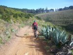 tenerife2010 251.jpg