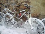 DSC00177.jpg