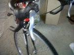 IMG00068-20101103-1308.jpg