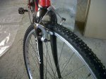 IMG00067-20101103-1307.jpg