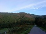 DSC09584.jpg