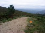 DSC09597.jpg