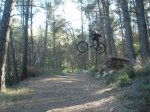 camino fonty 006.jpg