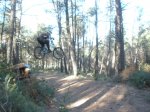 camino fonty 005.jpg