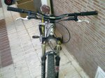 03112010080.jpg