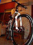 DSC02654.jpg