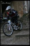 IMG_0554.jpg