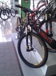 IMG_20101105_113714.jpg