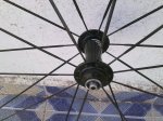 05112010238.jpg