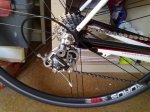 CERVELO 7.jpg