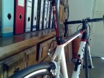 CERVELO 4.jpg