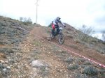 100_1225.JPG