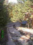 PICT0007.jpg