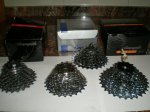 pineda 2010 002.jpg