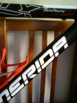 record-merida 013.jpg