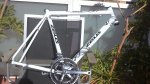 06112010031.jpg