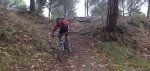 12102010025.jpg
