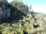 DSCN0194.jpg