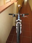 IMG_1685.jpg