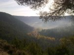 24102010518.jpg