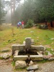 DSC09049.JPG