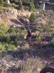 Imagen0062.jpg