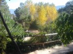 06112010012.jpg